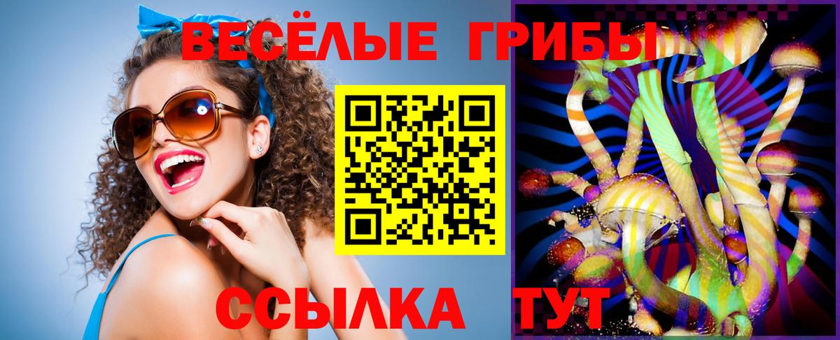 Черемхово  Псилоцибиновые грибы ЛСД  Вход с VPN  Галлюциногенные грибы прущие грибы 
